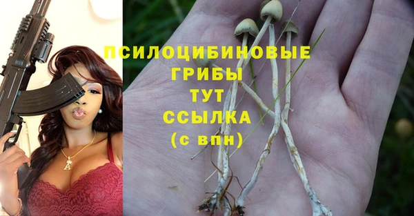 гидропоника Аркадак