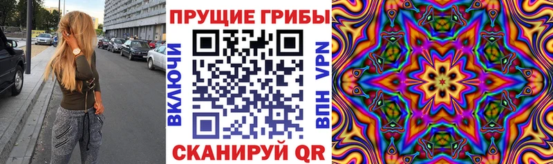 Галлюциногенные грибы мицелий  Аркадак 